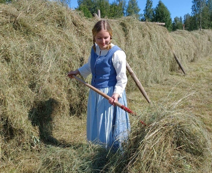Slåtter på Hägnan