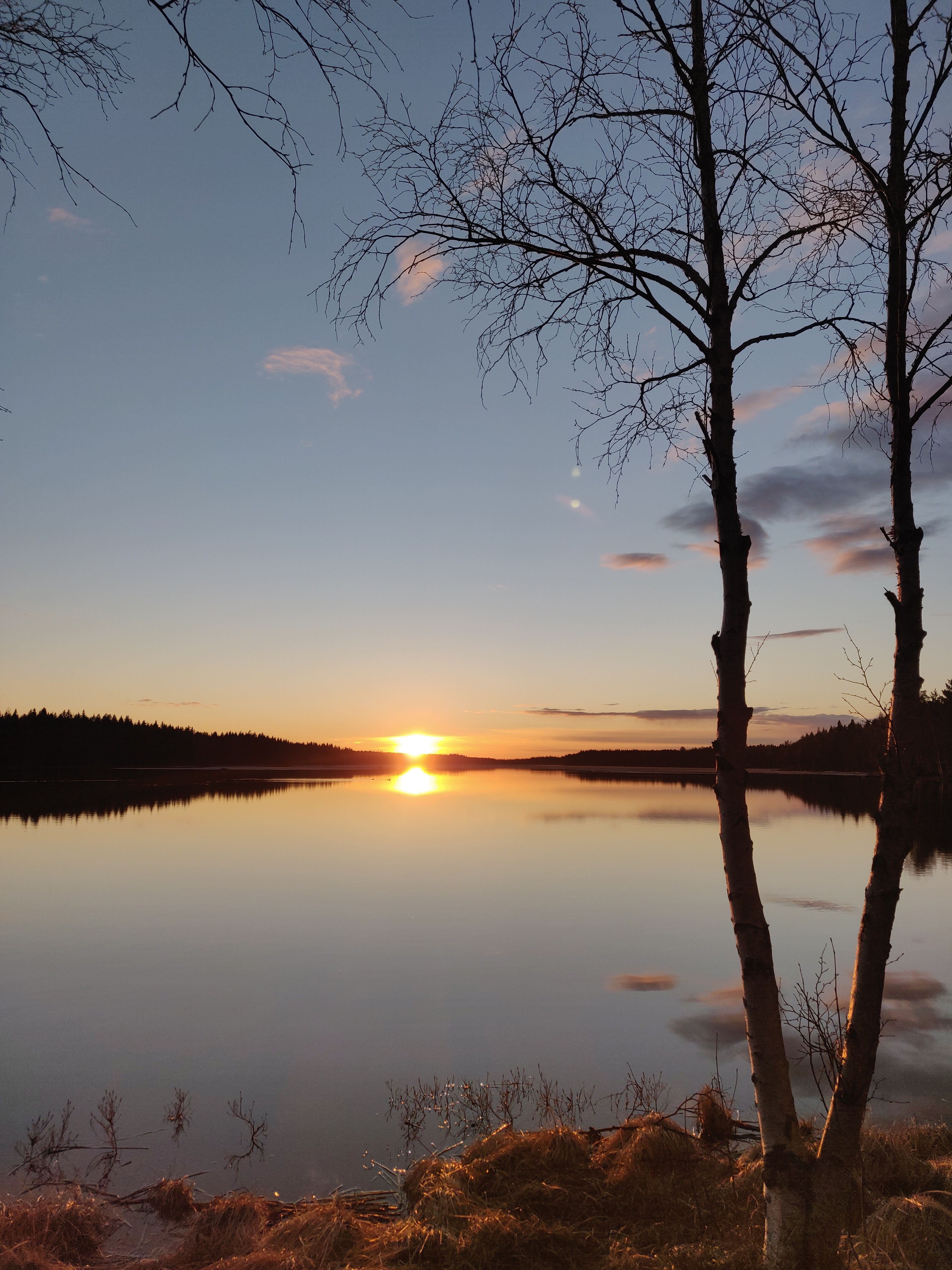 IMG 20200514 213610 (1)