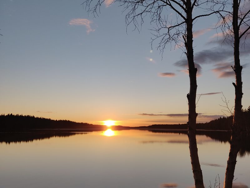 IMG 20200514 213610 (1)