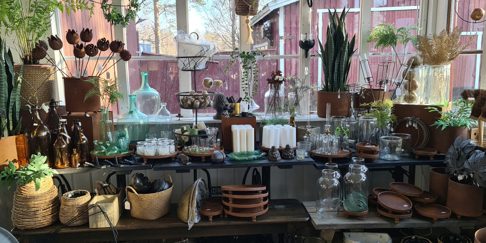 313014891 548792283922840 1304618764808519019 N