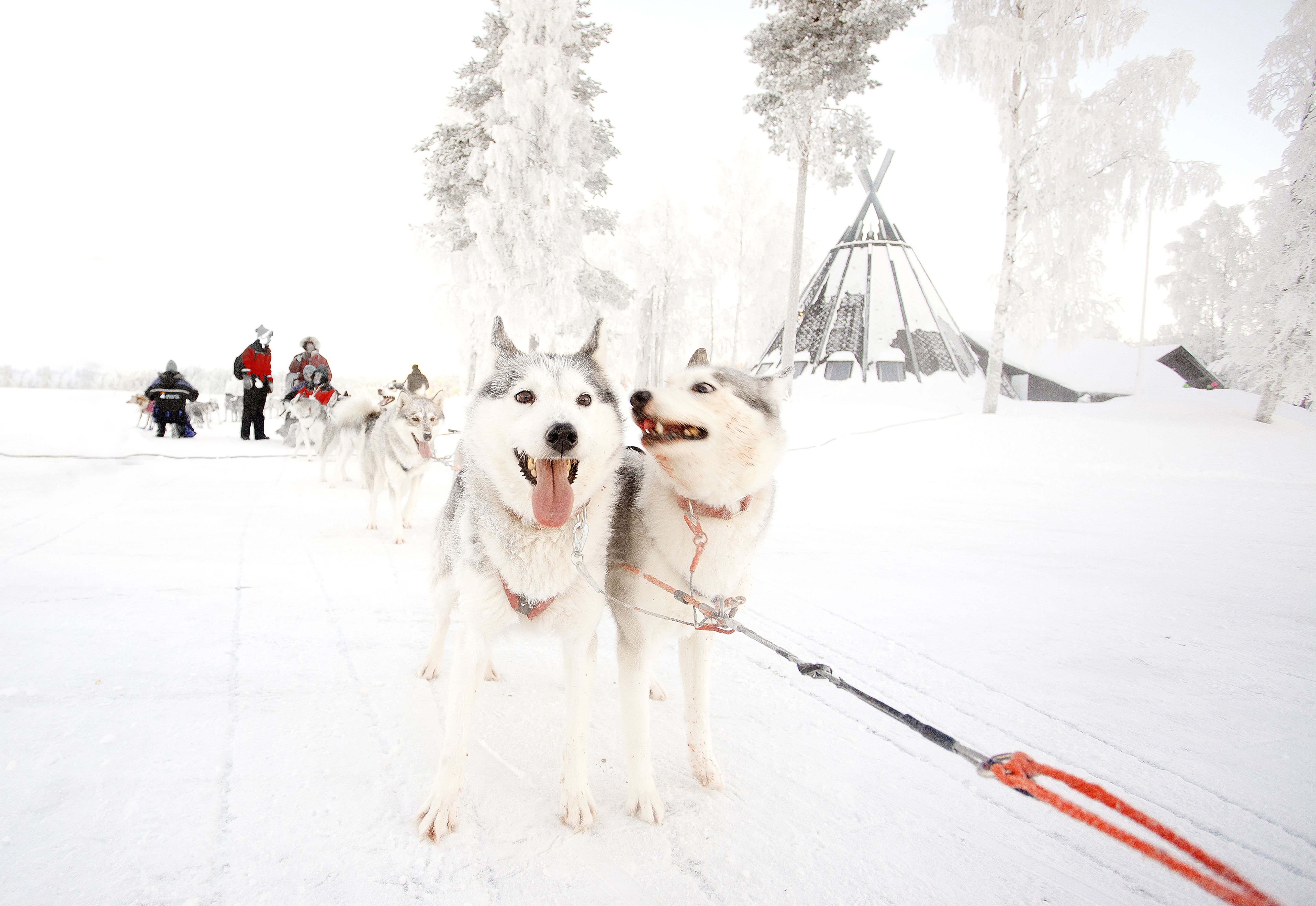 ©Fotografvivekaösterman 008Ebbenjärka