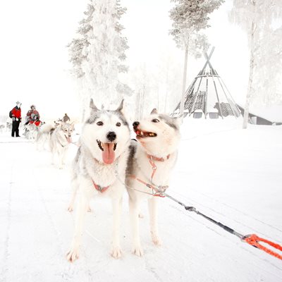 ©Fotografvivekaösterman 008Ebbenjärka