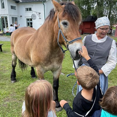 Barnens Hägnan