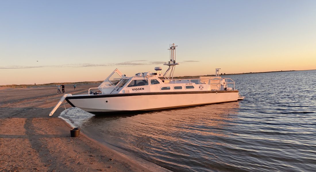 Foto 2020 09 01 19 35 42 1100X600