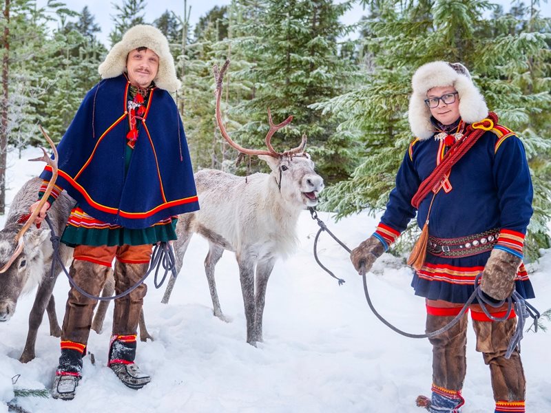 Sami Rind SámiReindeer