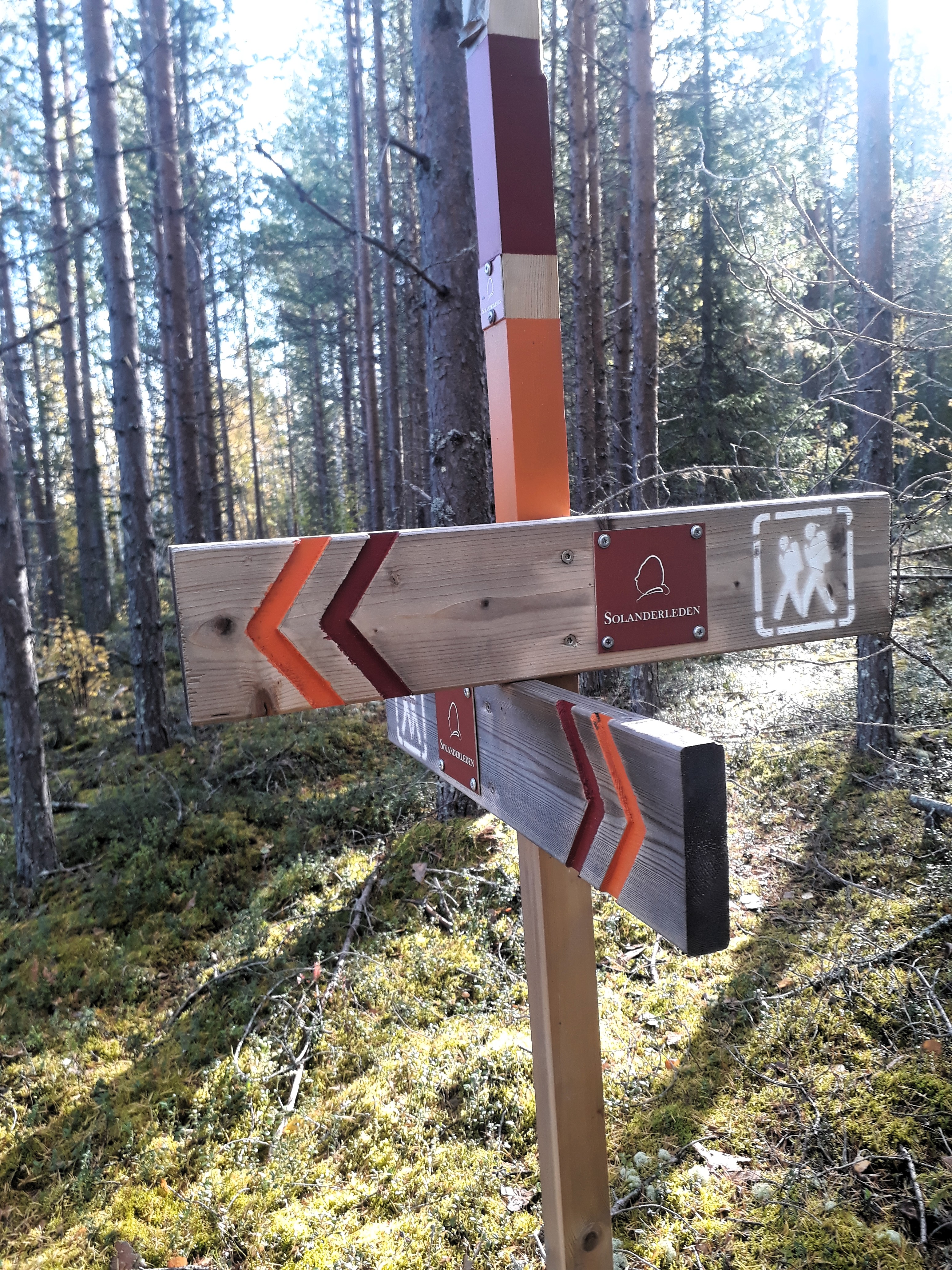 Skylt Solanderled Ny