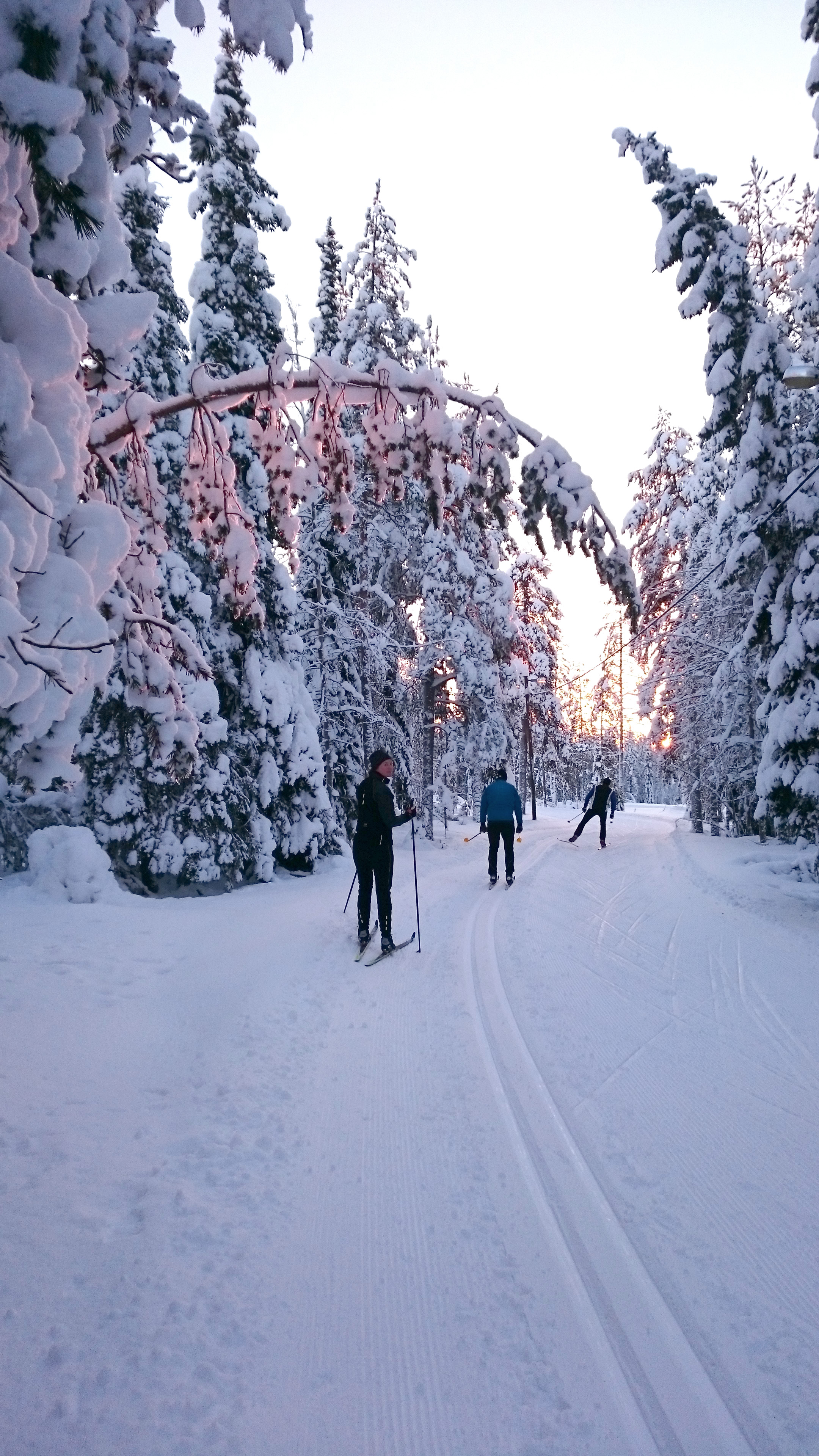 Ormberget By Helena Holm