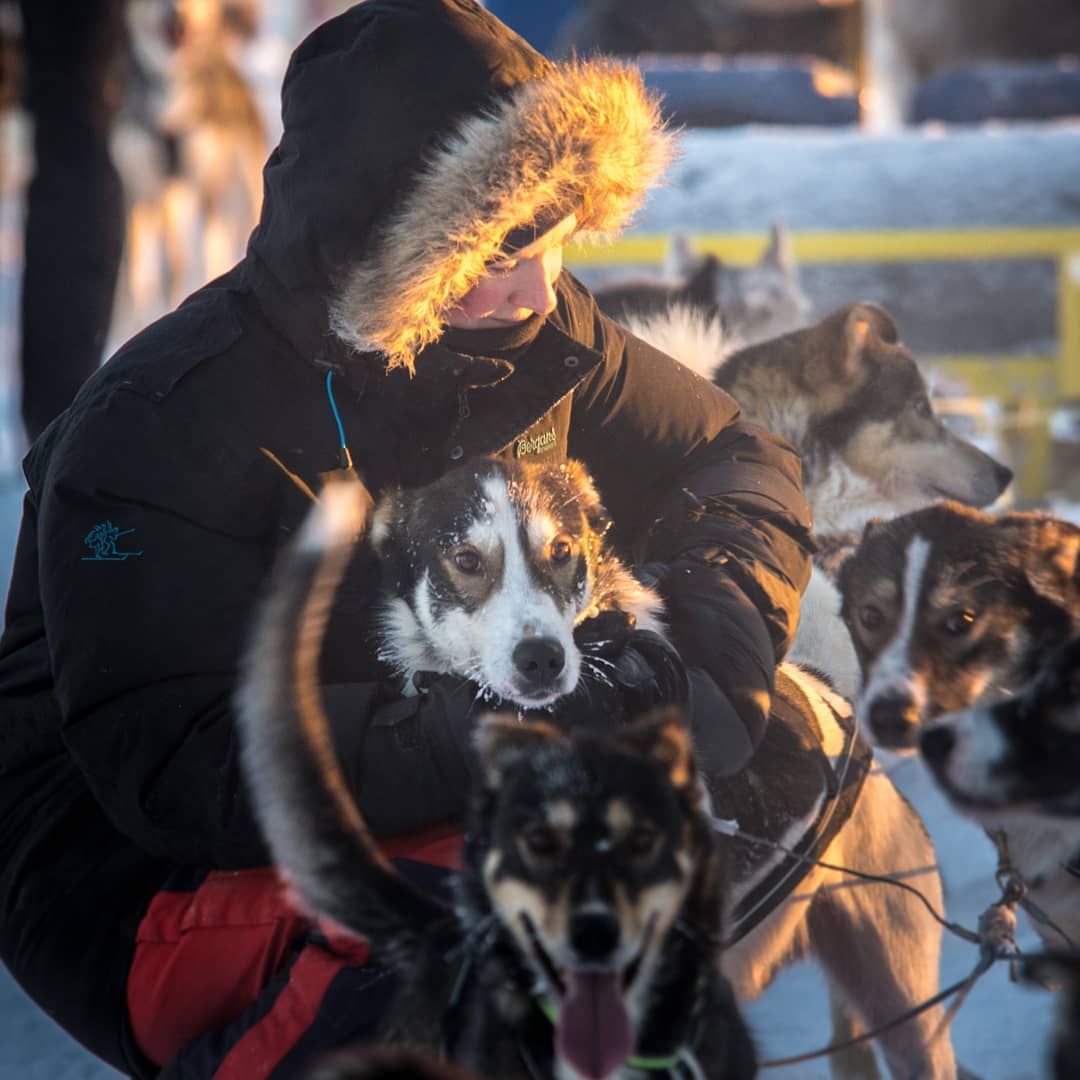 Cuddle break at Yellow Snow Husky Tours