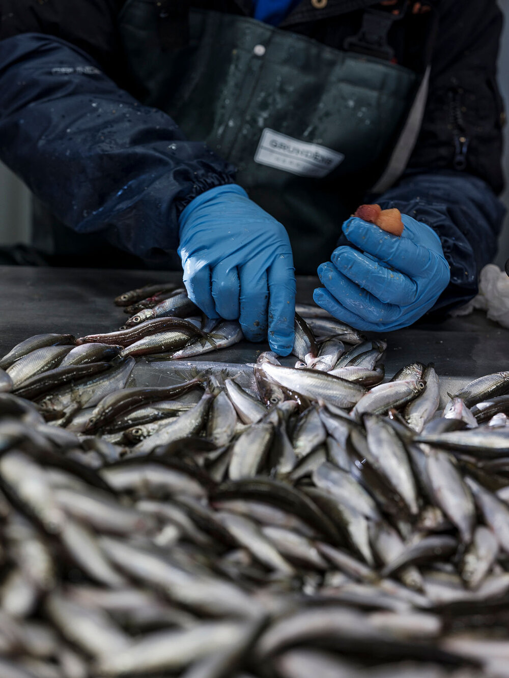 Junköfiskarna is famous for their bleak roe
