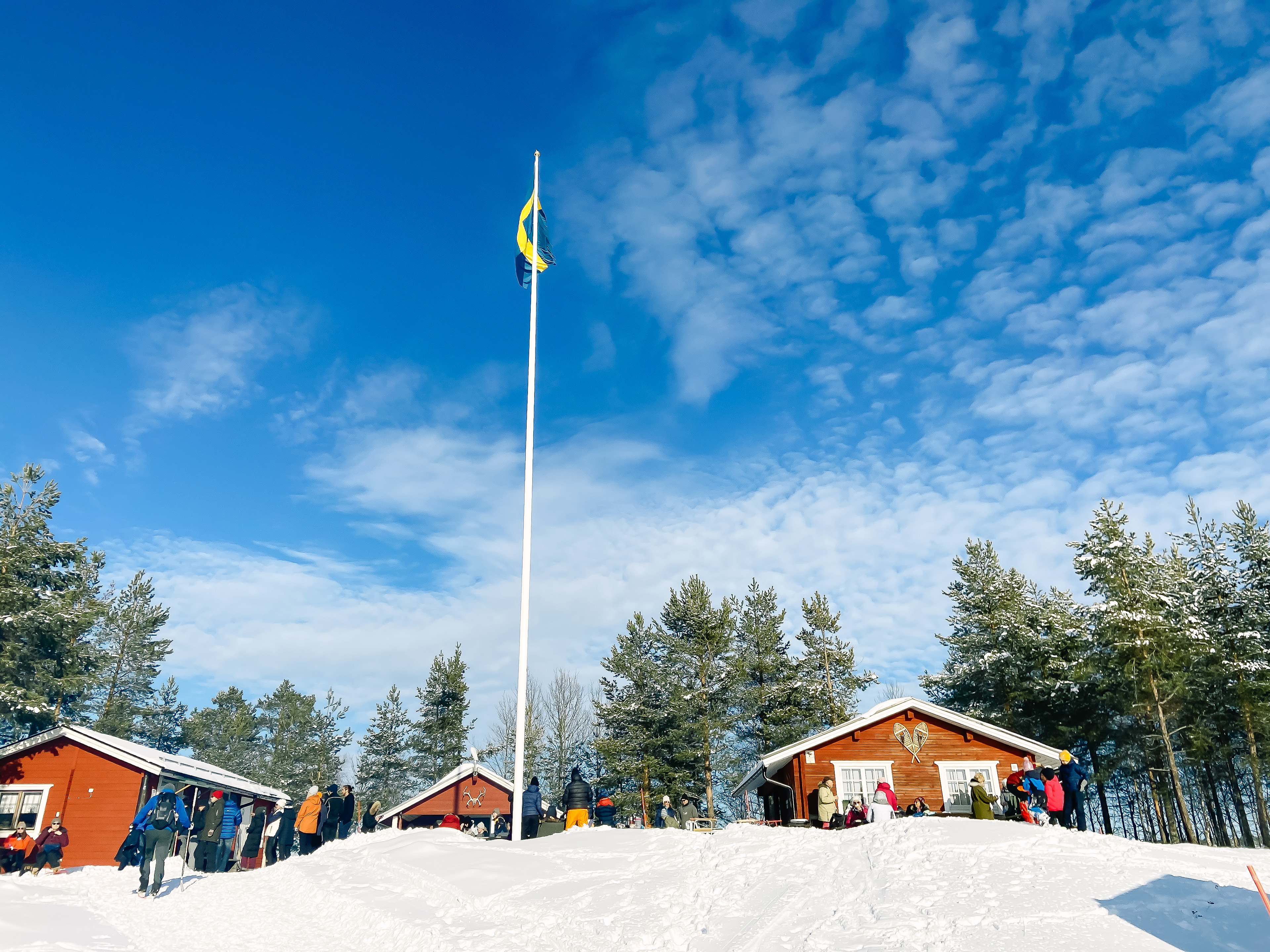 Flagpole At Grasjaloren