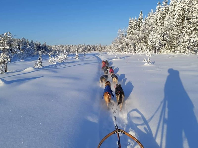 Received 908028059791823