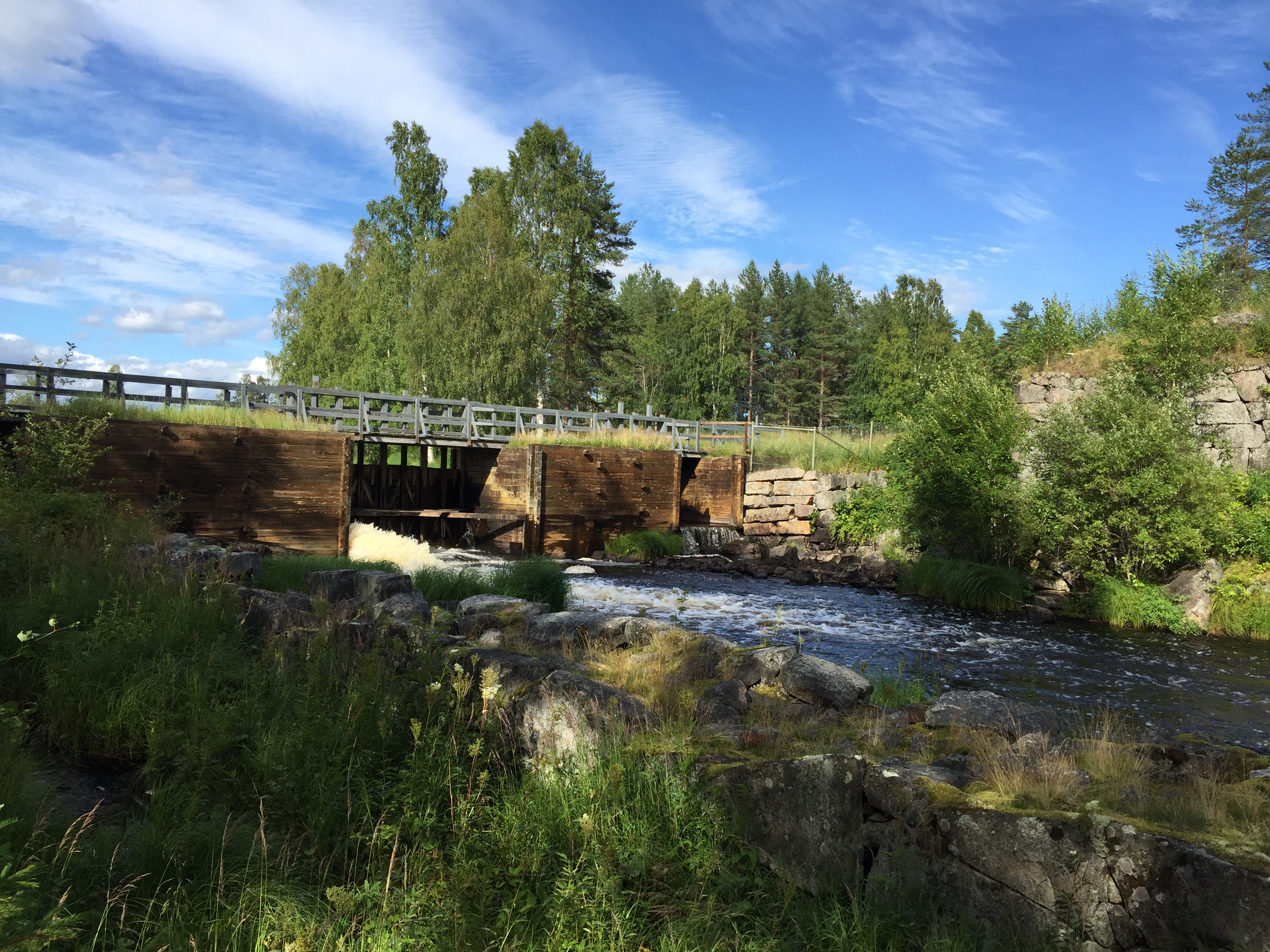 Selets Bruk Sommar 2017 Helena Holm IMG 5399 (16)