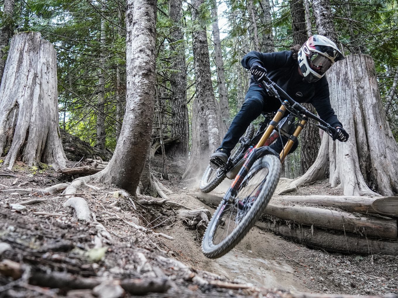 Pexels Danny Bor 9994208 (1)