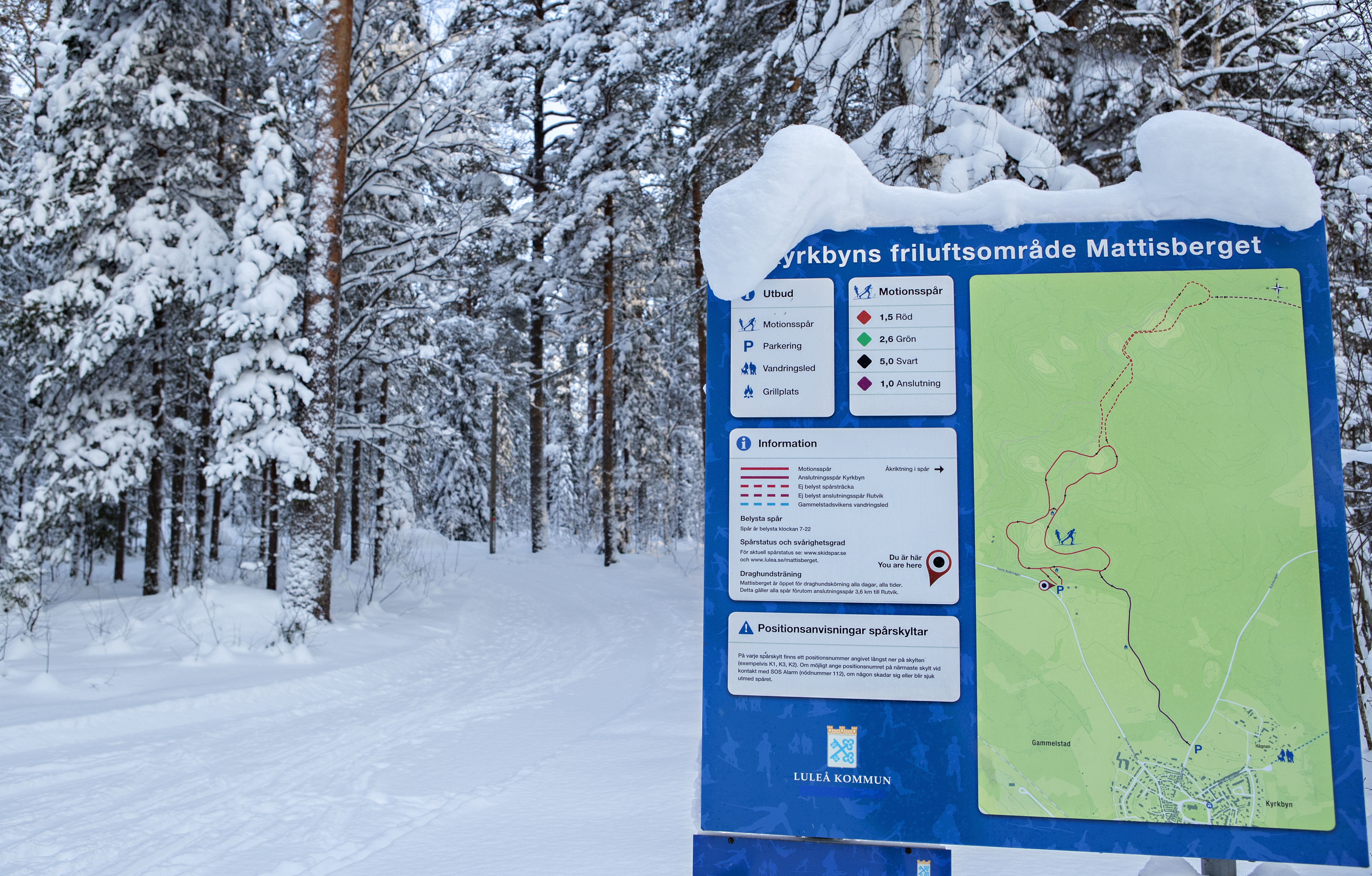 Mattisberget, Jennie Pettersson