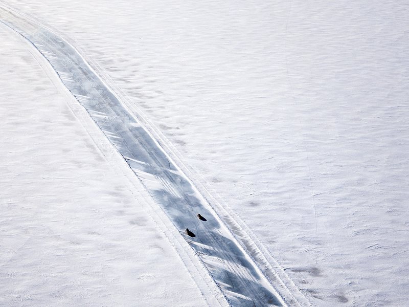 The ice road in Luleå leading to the archipelago