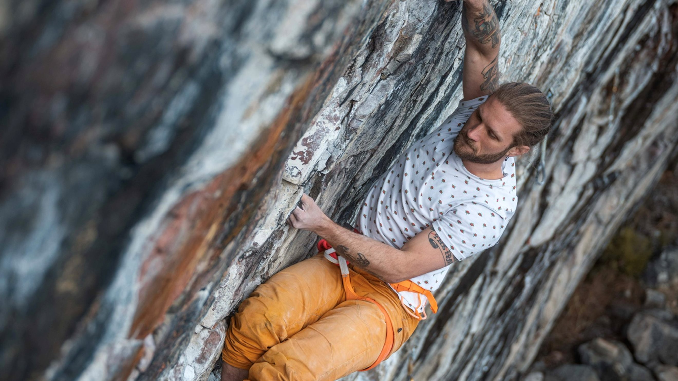 Fredrik Berg2 Foto Måns Gullgren