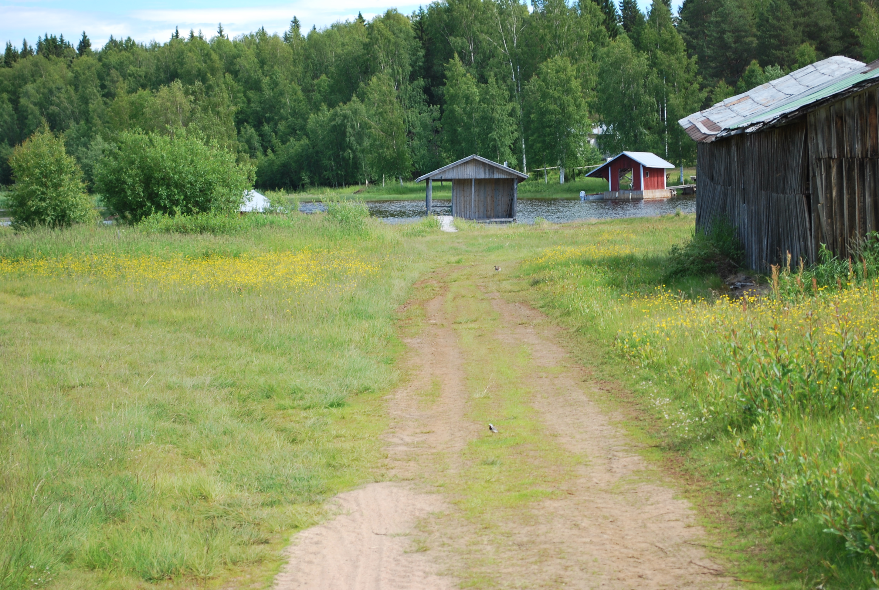 DSC 2252