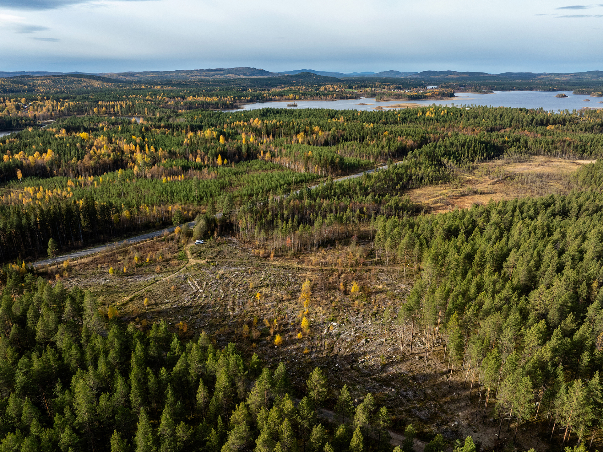 Vy över del av fornvårdsmiljön i Gunnarsbyn. Boplatsen har tydliga spår av markberedning. I bakgrunden syns Överstbyträsket.