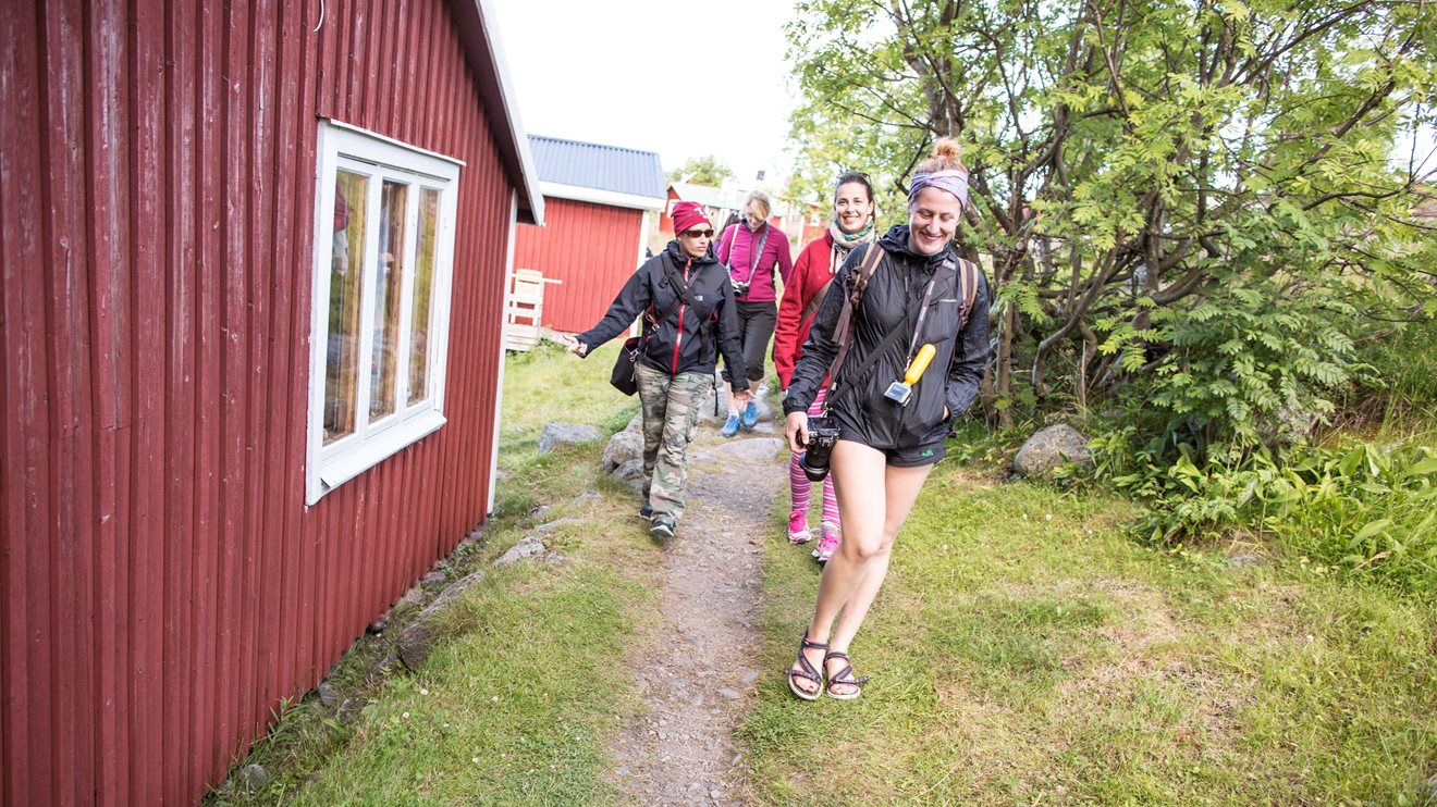 Hike in Luleå archipelago