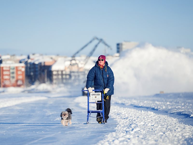 Using a kick-sled on the ice track in Luleå is fun