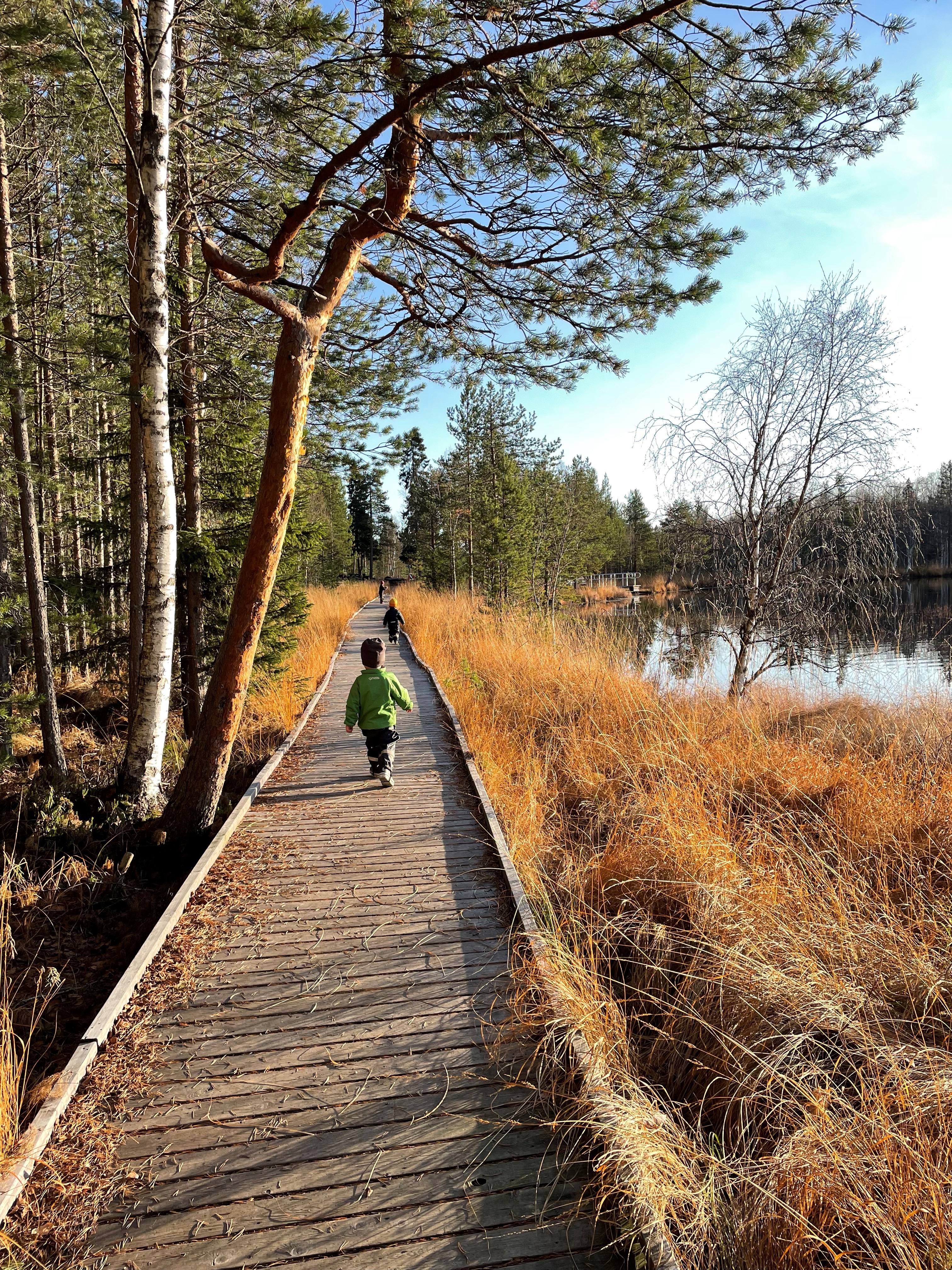 Höst Hertsöträsk 2021 Helena Holm 23 (1)