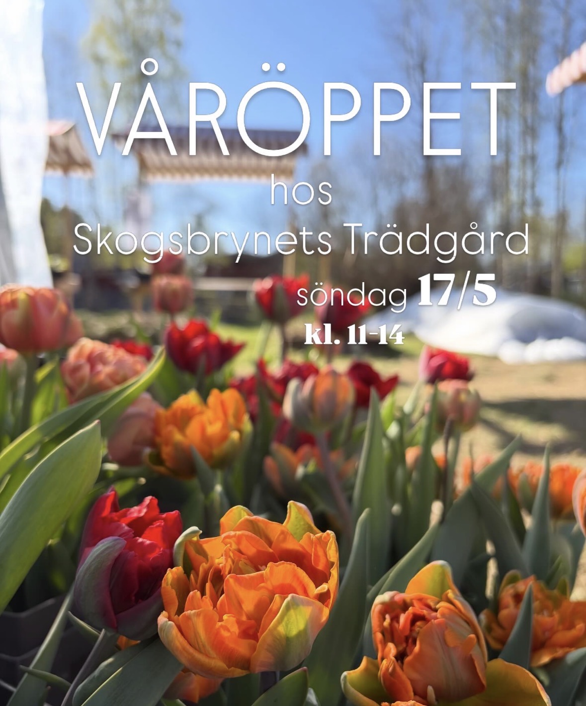 Eventinfo 