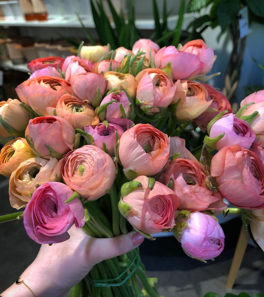 A bouquet of flowers from Enströms in Luleå