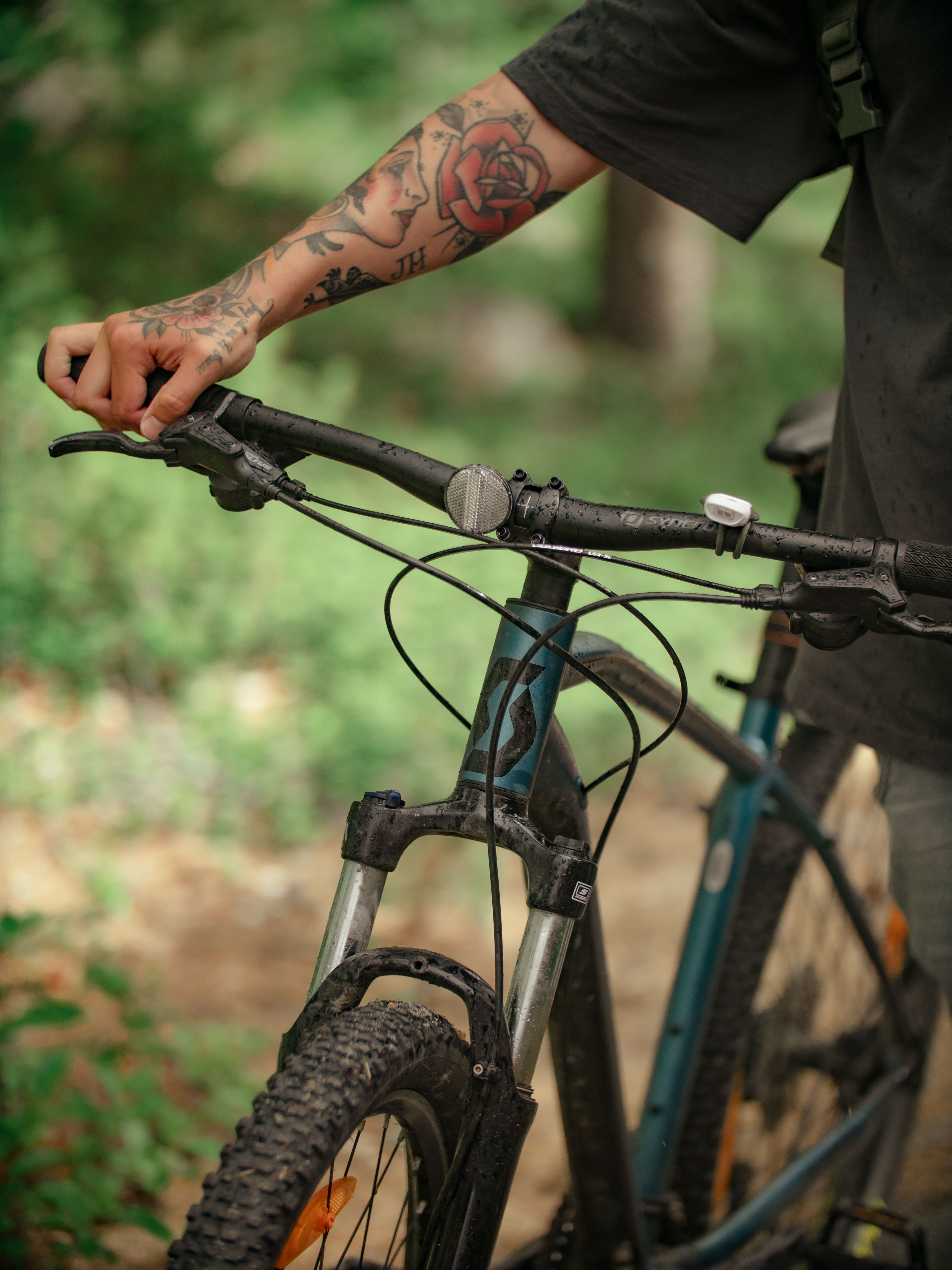 Cykla Natur Skog (4)