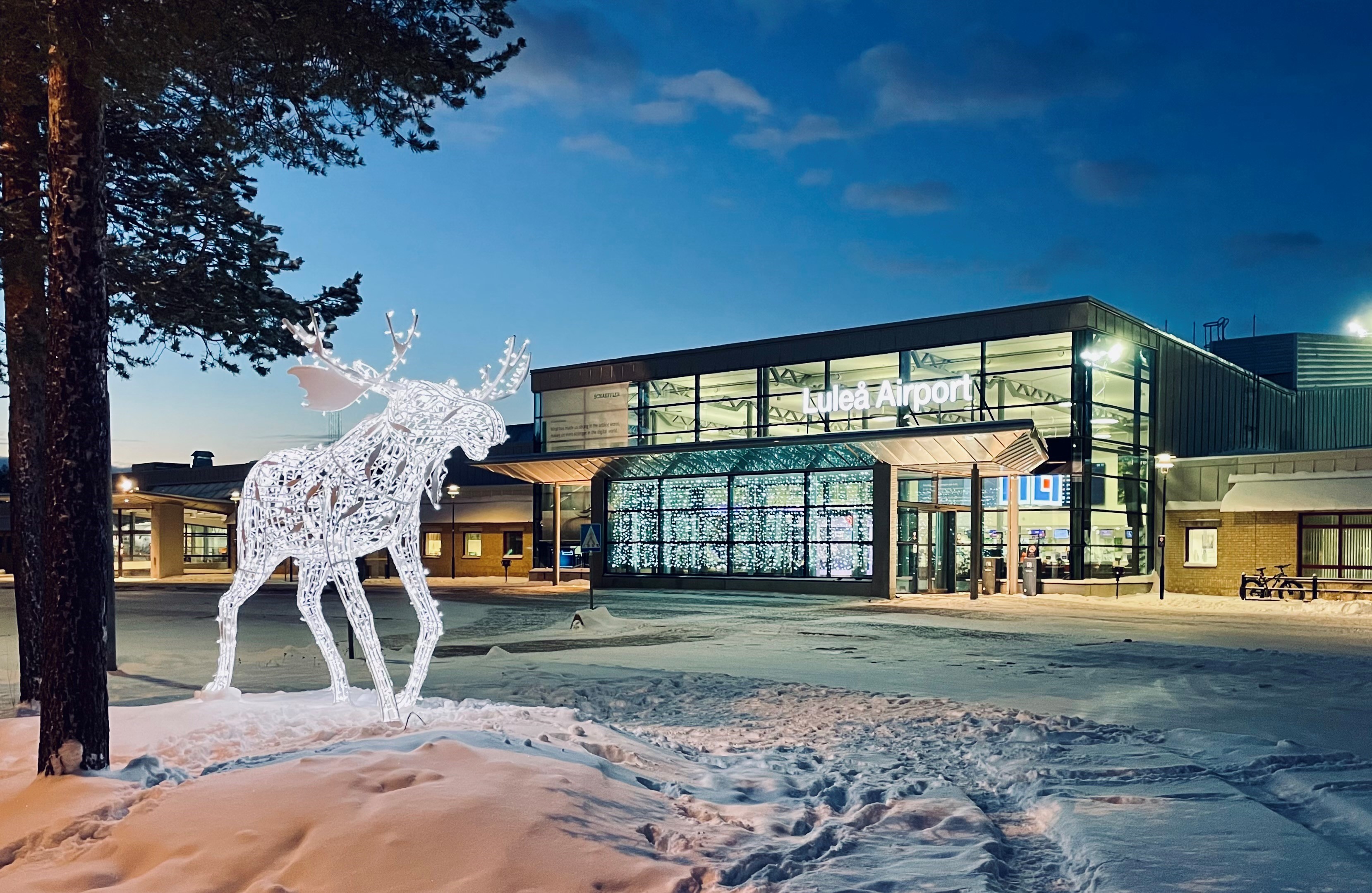 Älg LLA Vinter Jul (2)