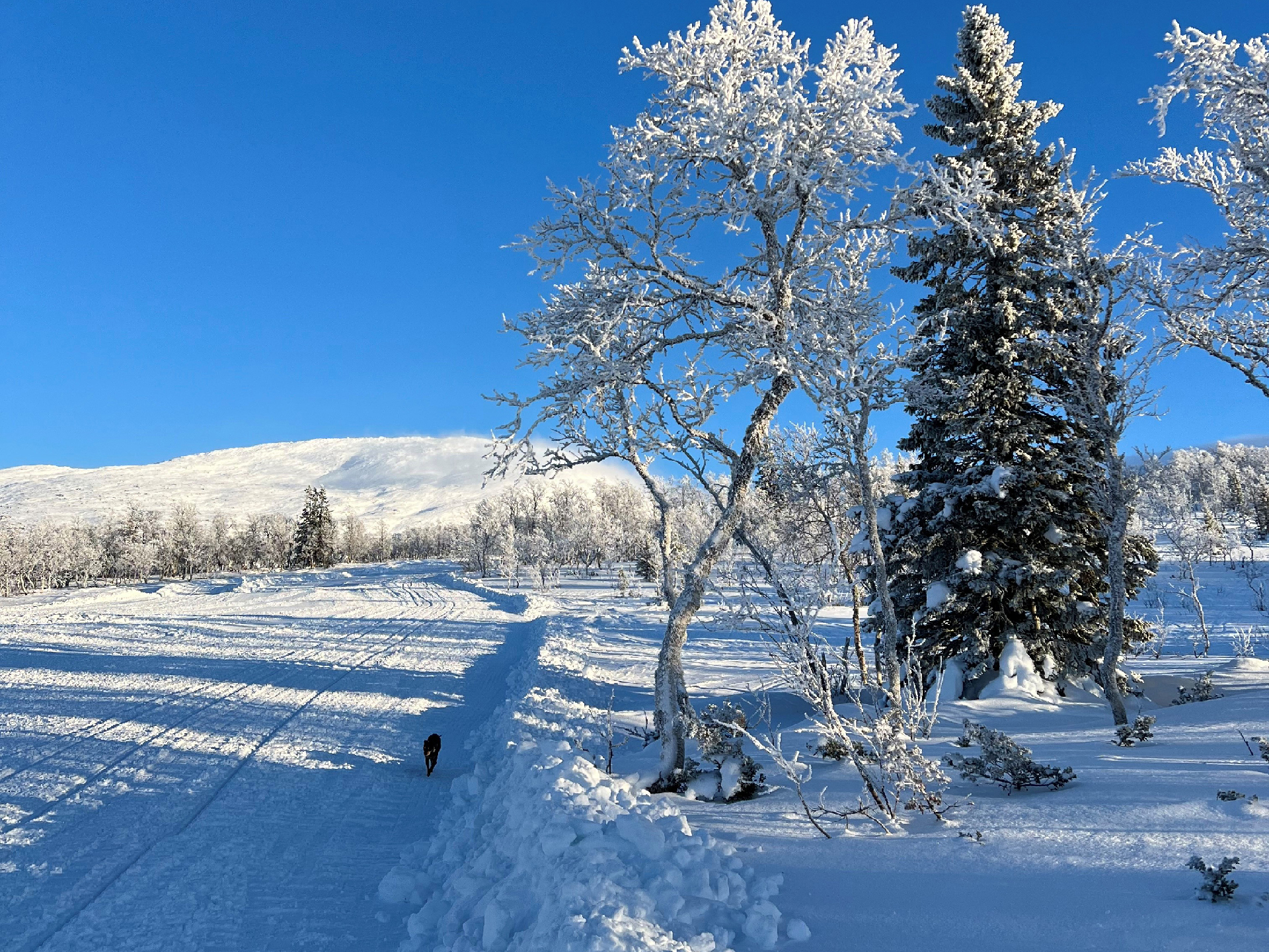 Fjällandskap i vintrig skrud. Foto: Malin A Junkka.