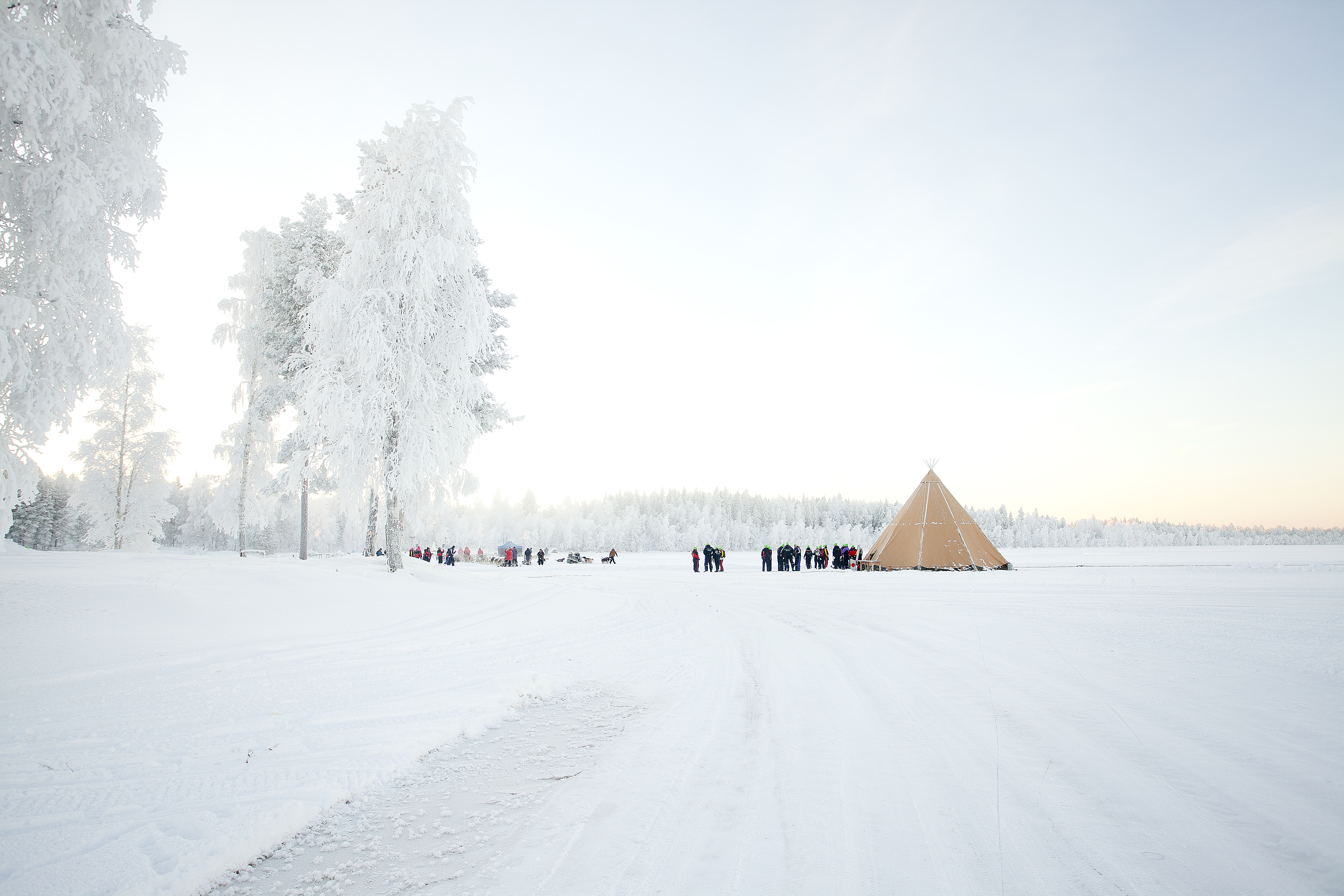 ©Fotografvivekaösterman 009Ebbenjarka