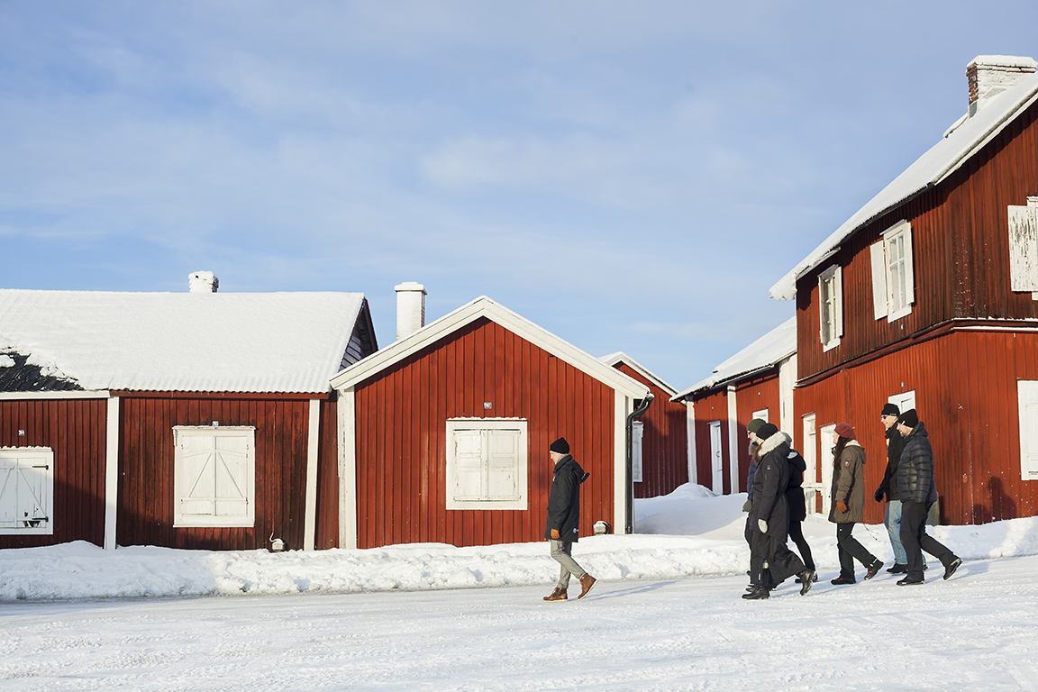 Guided Tour of Gammelstad Church Town