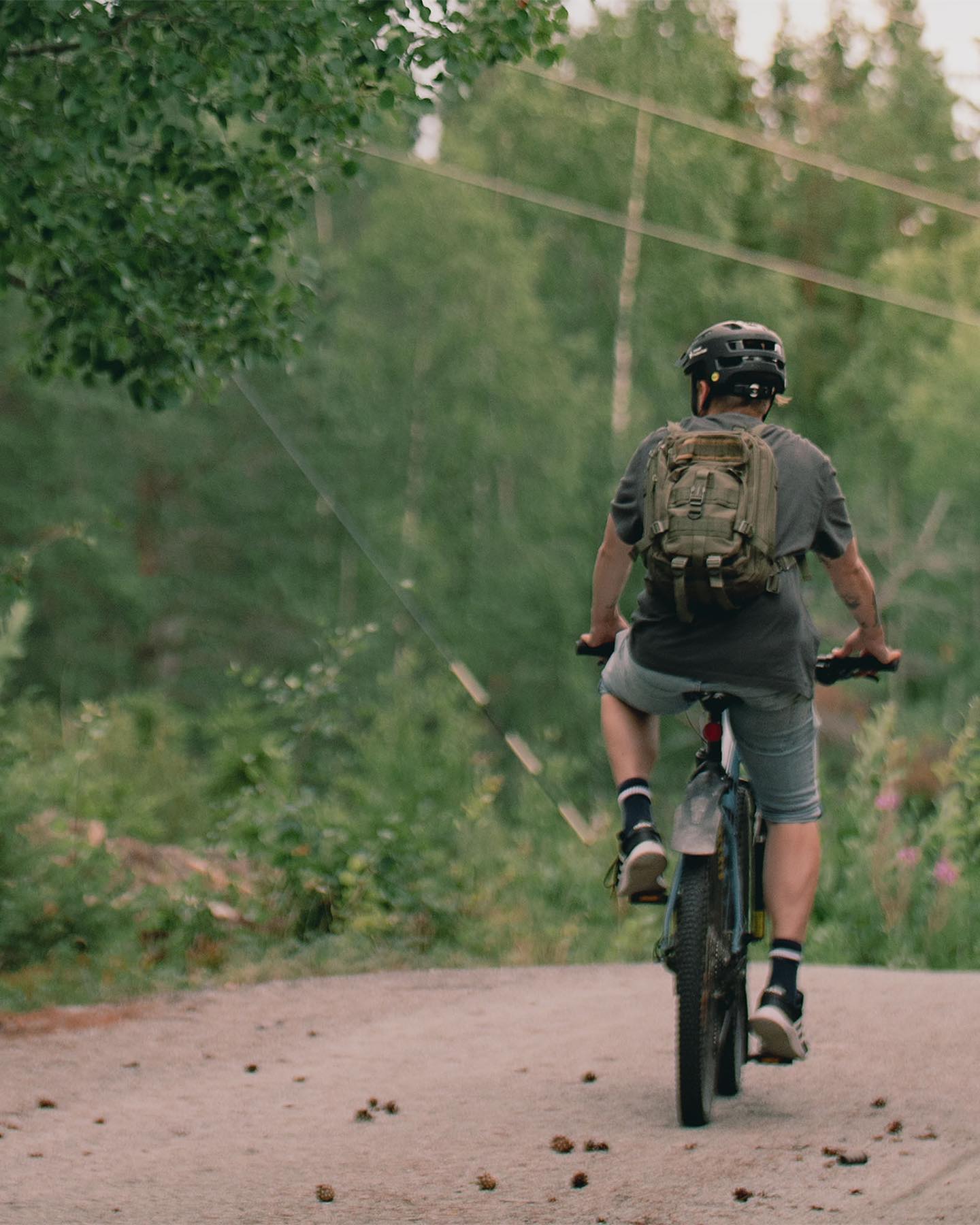 295121849 6245575195459195 8449686344524122154 N