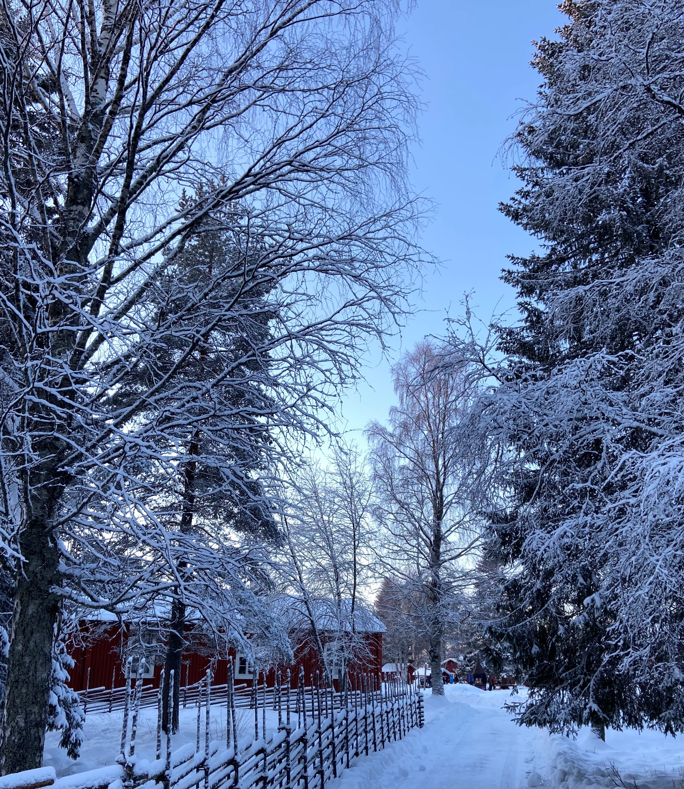 Hägnan Vinter Helena Holm 5