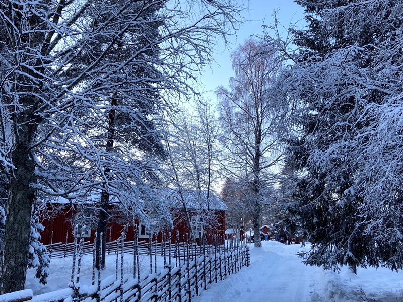 Hägnan Vinter Helena Holm 5