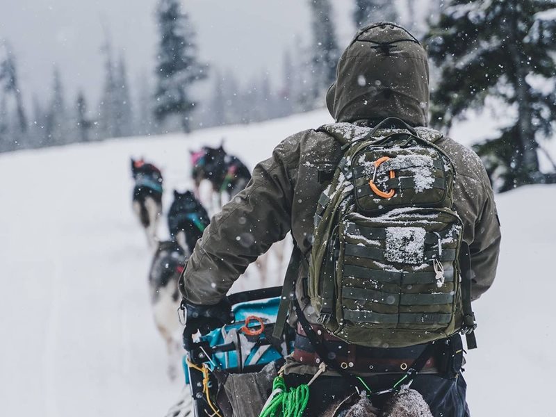 Dog sledding with Northern Soul Journeys