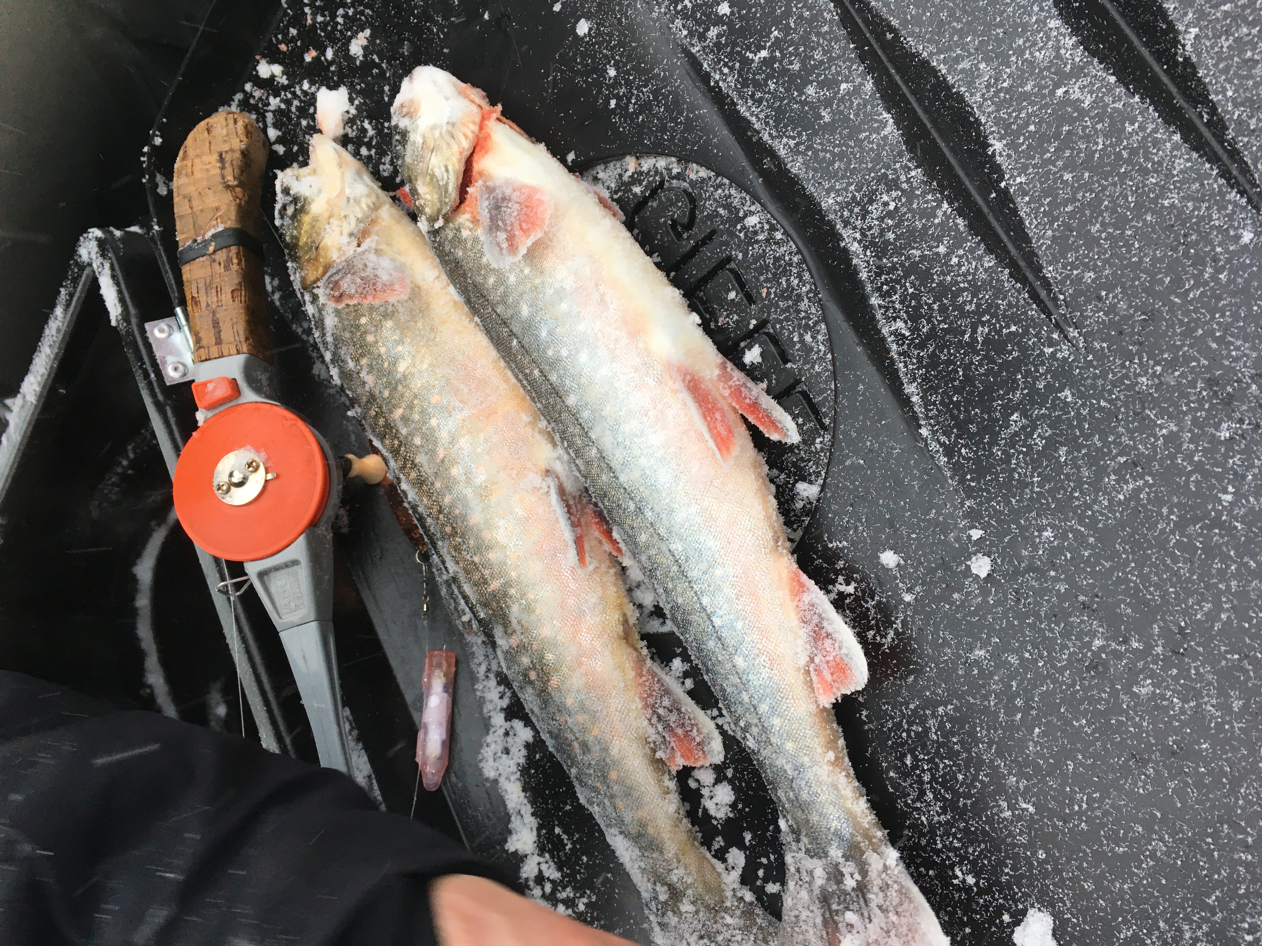 D34D55C6 417A 4E27 85B8 1D58818CD844