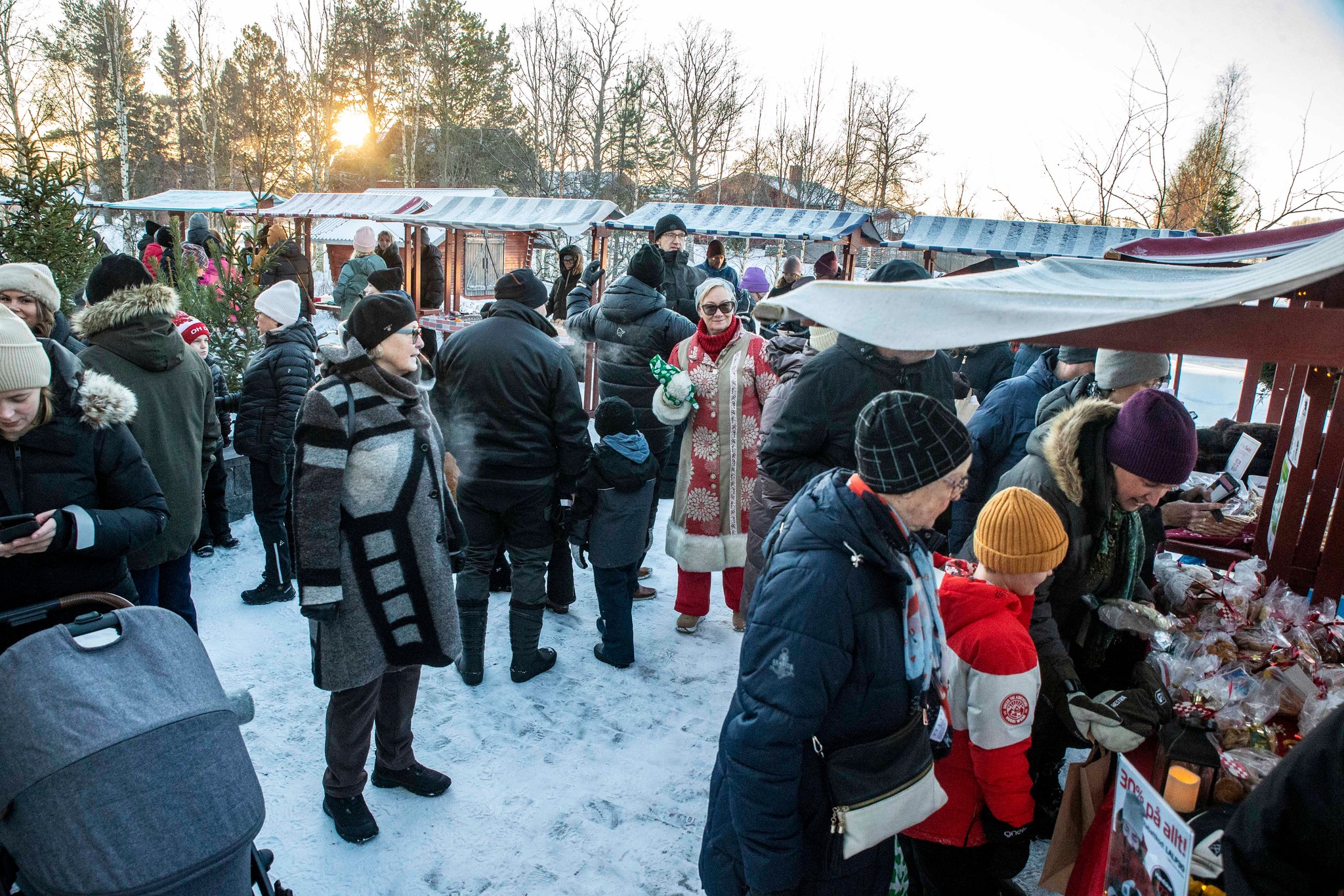 559419434 1422405656557054 5561837430390713578 N