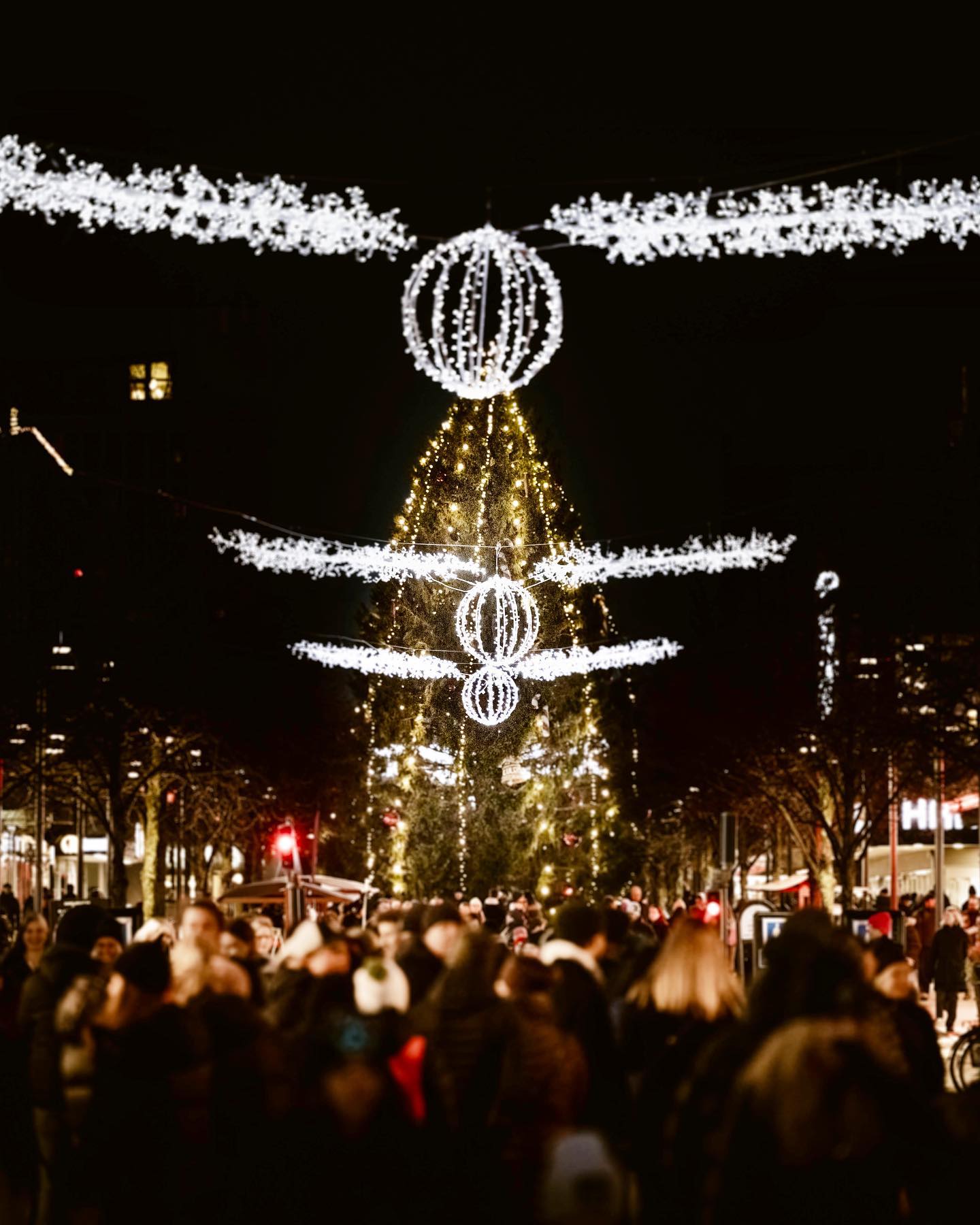 316947093 1003892863893897 4990644711013137091 N