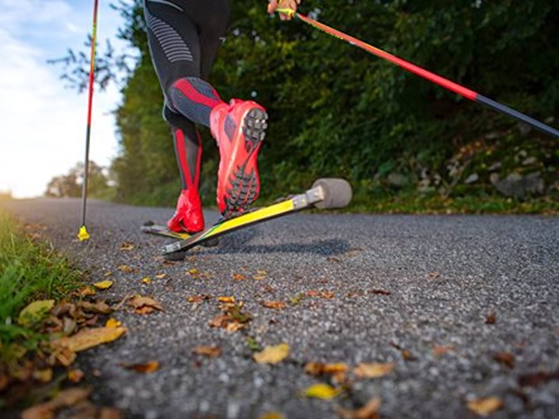 Shutterstock 1536191687 Webb