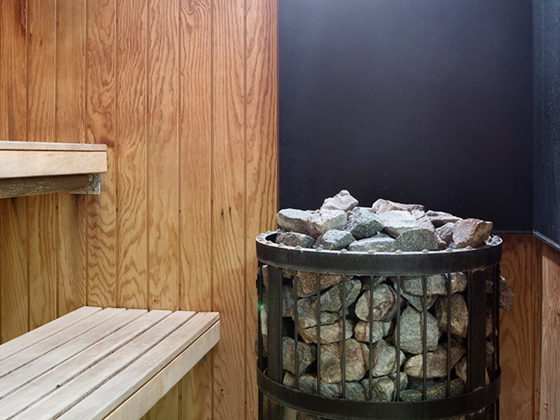 Arctic Hotel Sauna Copy