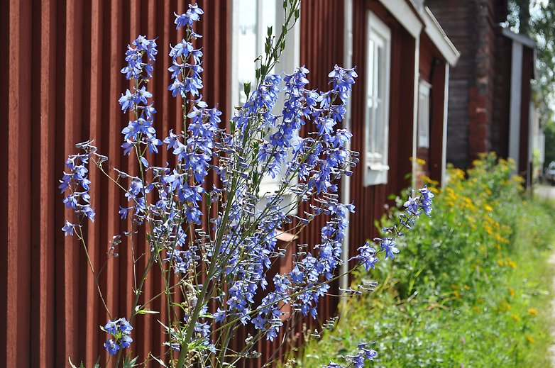 Reflektionsvandring