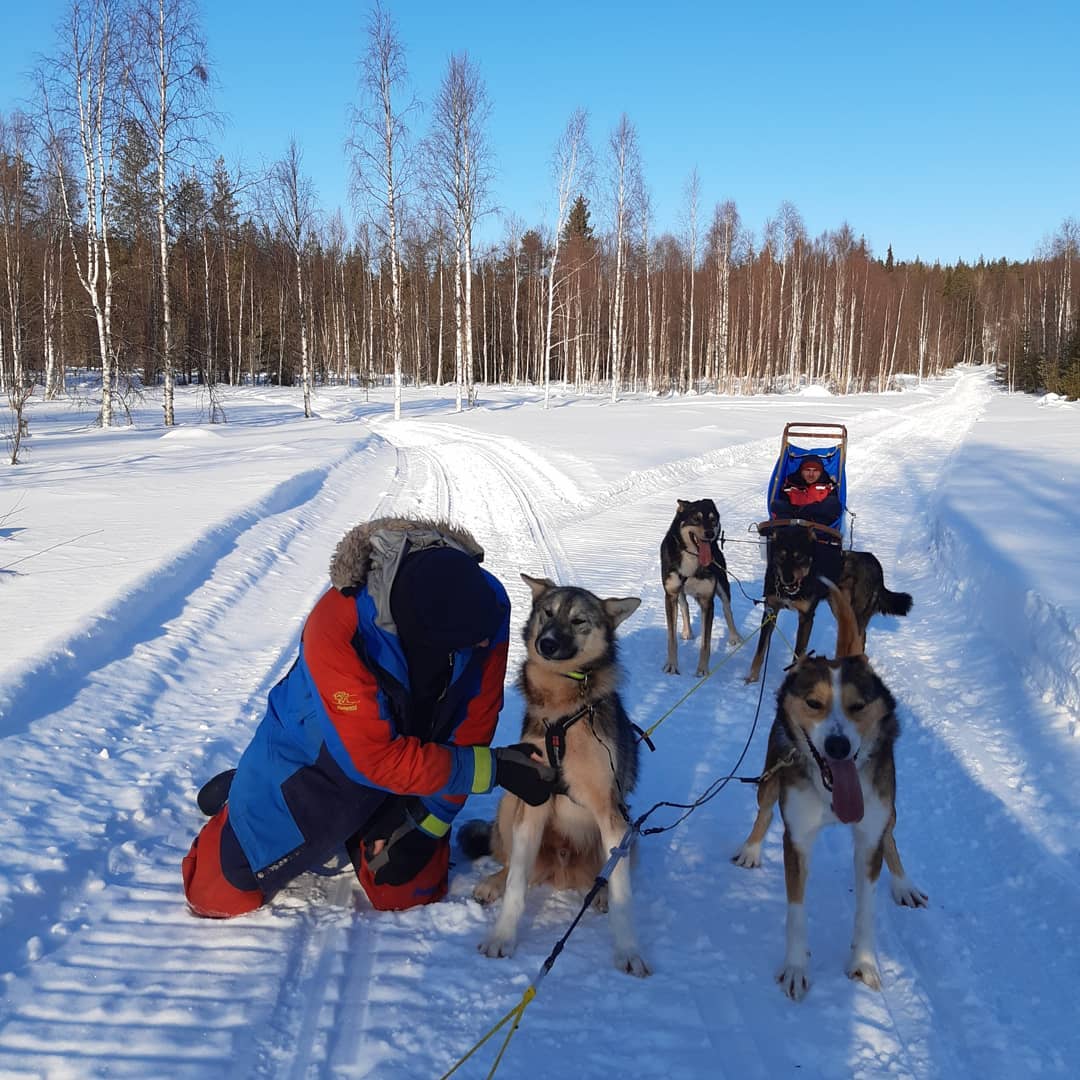 Break during a sledding tour at Yellow Snow Husky Tours