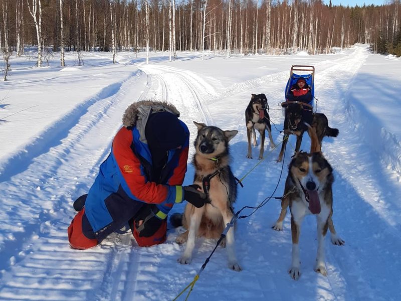 Break during a sledding tour at Yellow Snow Husky Tours