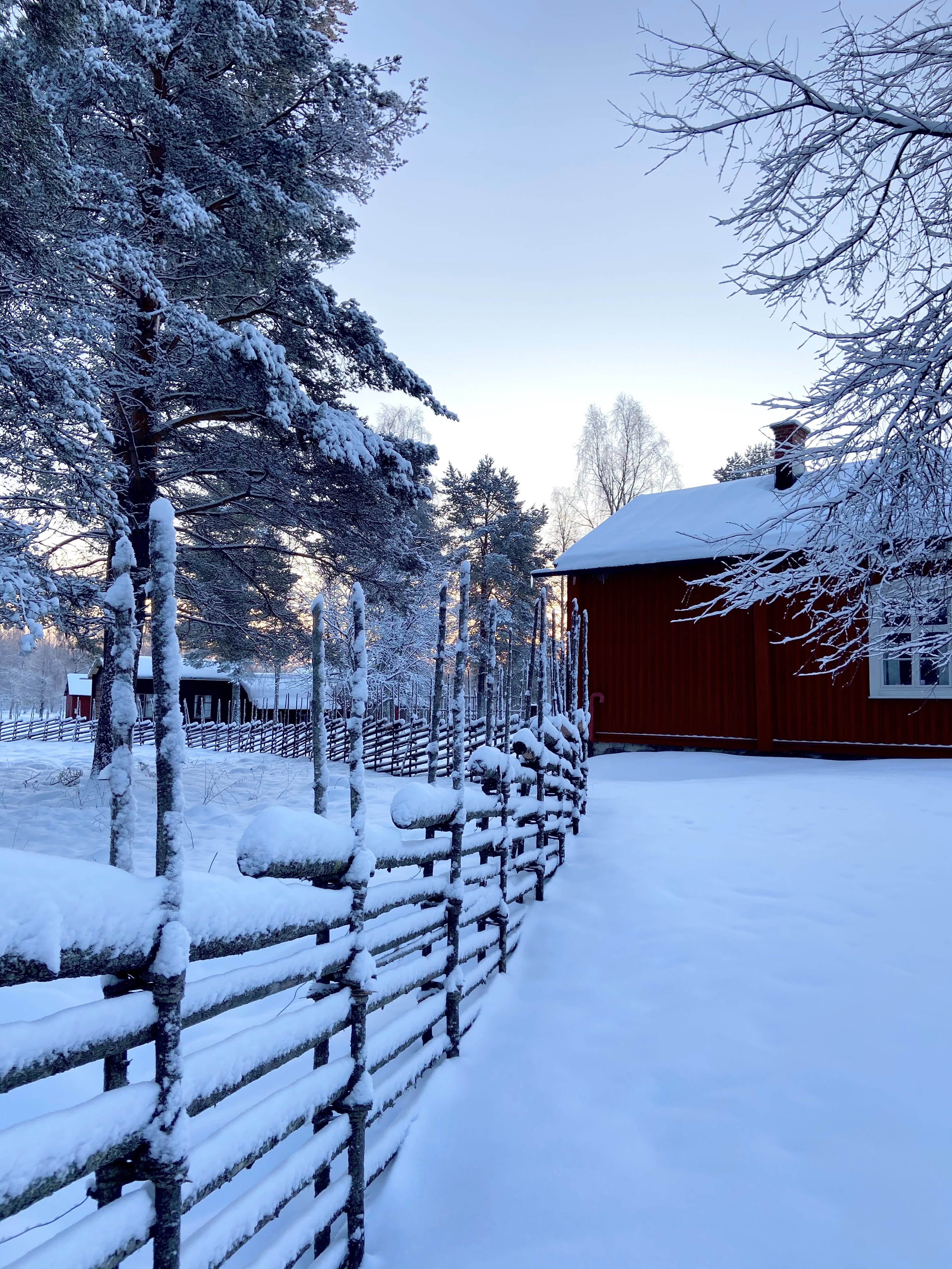 Hägnan Vinter Helena Holm 9