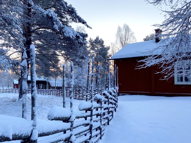 Hägnan Vinter Helena Holm 9