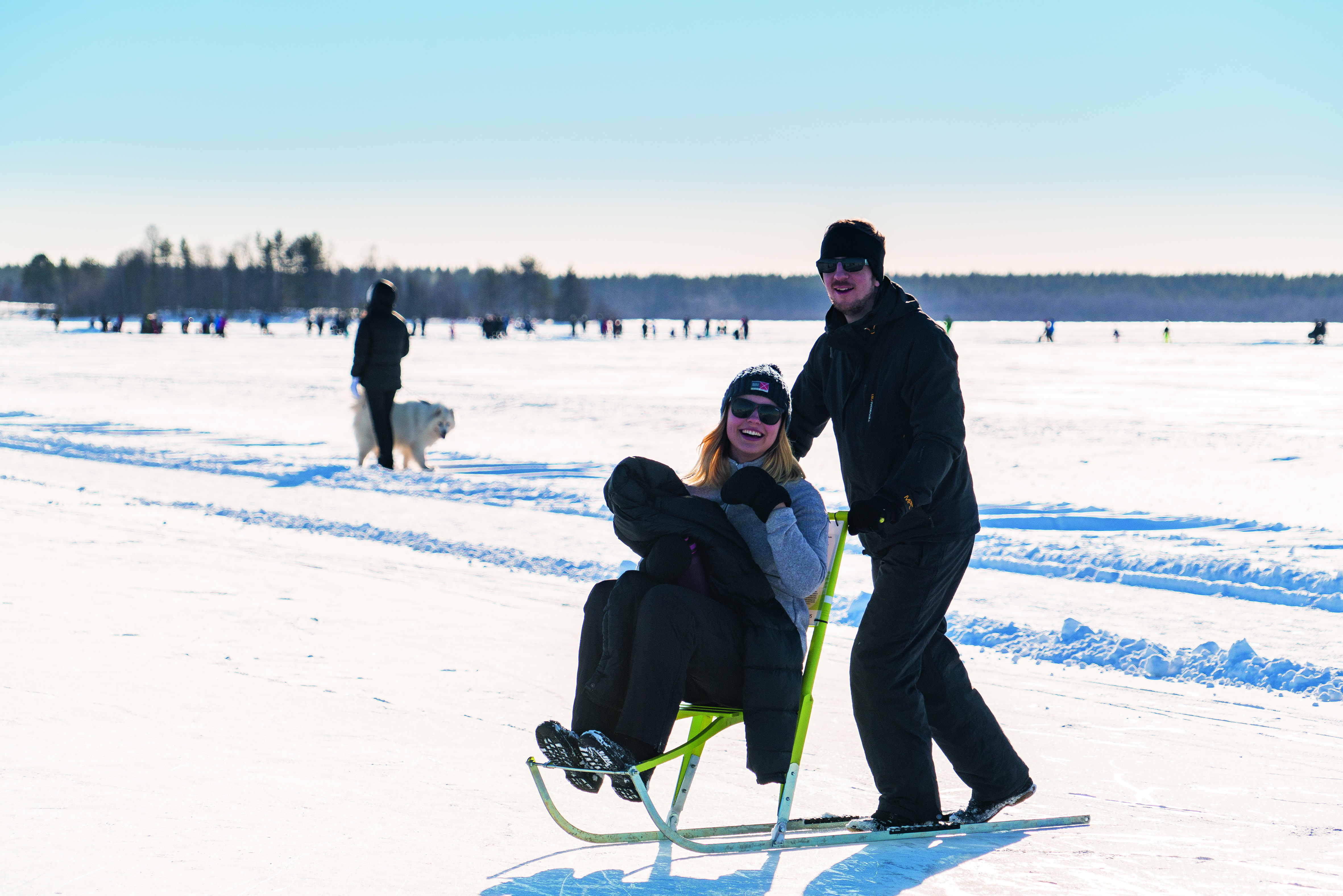 Gråsjälören DSC1197