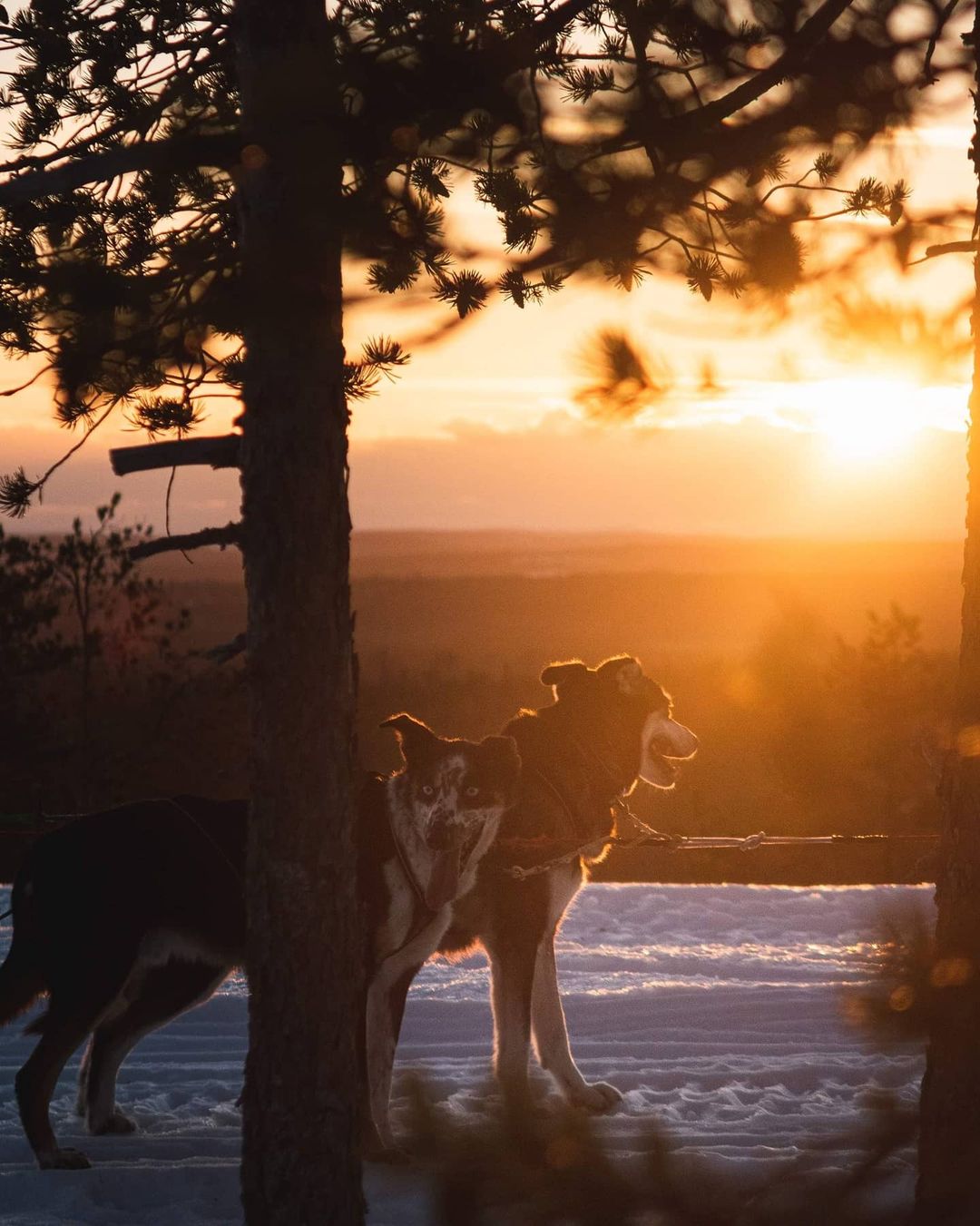 Winter sunset with Northern Soul Journeys