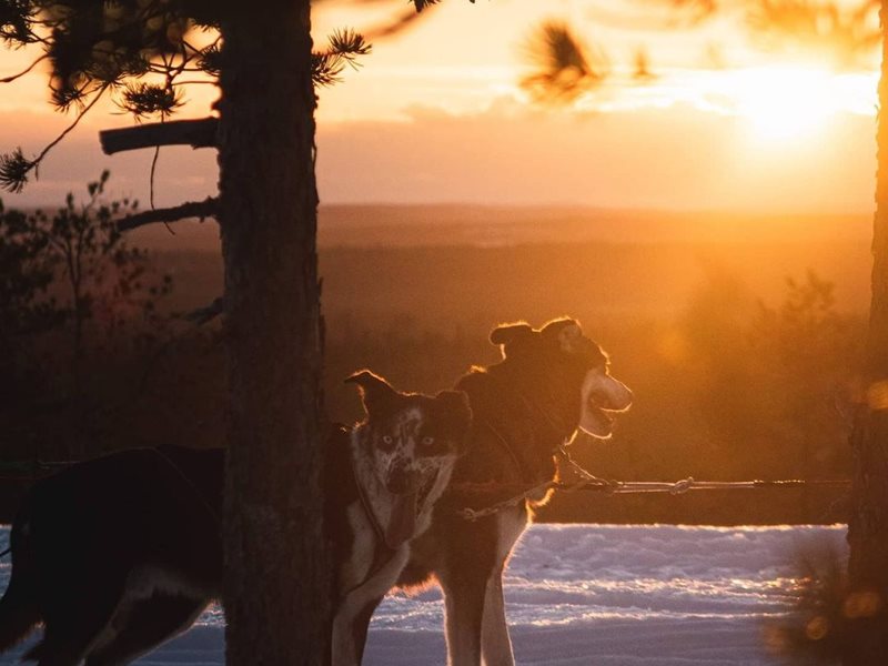 Winter sunset with Northern Soul Journeys