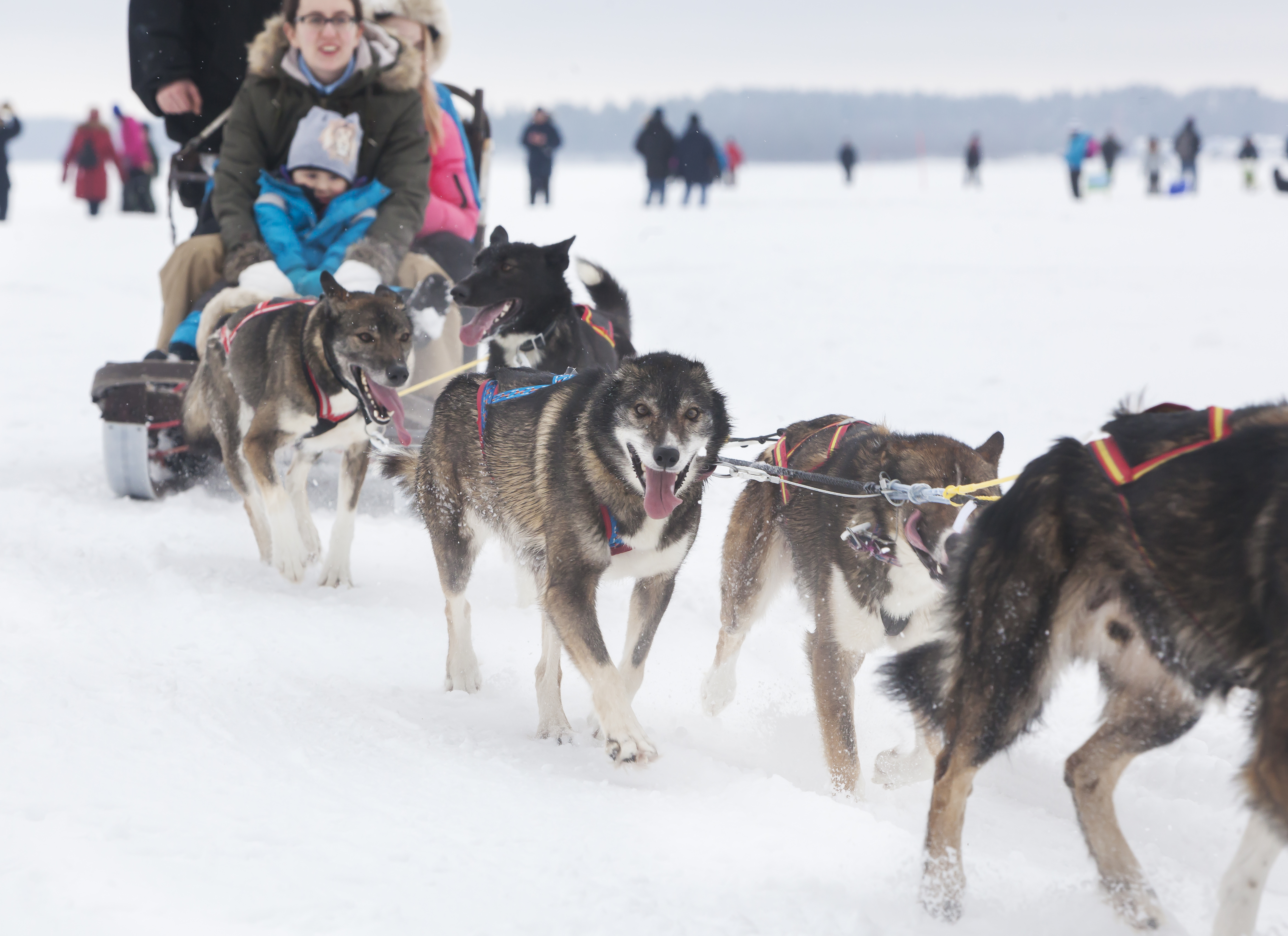 Luleaon Ice 2 0705 (1)